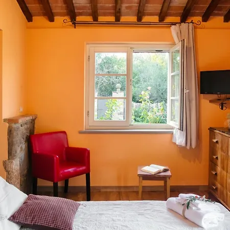 Villa Luxury Saltwater Pool 35min From Cortona *