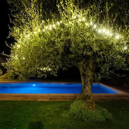 Villa Luxury Saltwater Pool 35min From Cortona