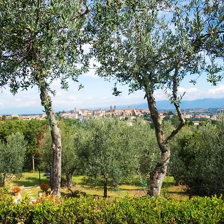 Villa Luxury Saltwater Pool 35min From Cortona Monte San Savino