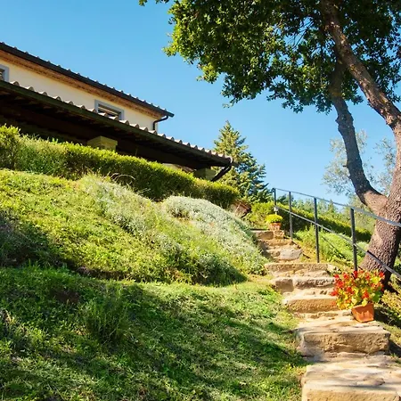 Villa Luxury Saltwater Pool 35min From Cortona Monte San Savino