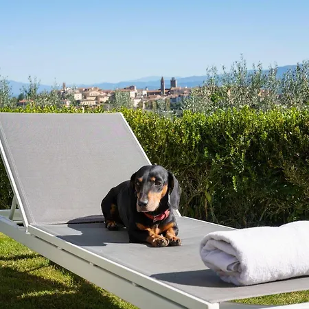 Luxury Saltwater Pool 35min From Cortona